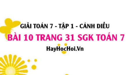 Giải bài 10 trang 31 Toán 7 Tập 1 SGK Cánh Diều